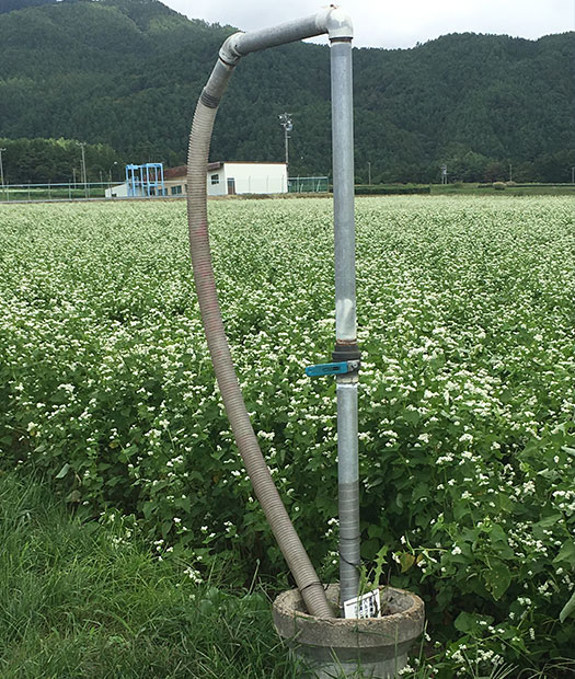 雑用水給水栓