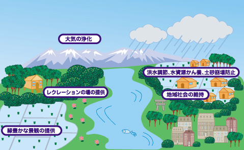 土地改良施設の多面的例